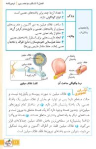 جیبی چکیده زیست یازدهم خیلی سبز