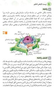 لقمه طلایی زیست گیاهی کنکور مهروماه